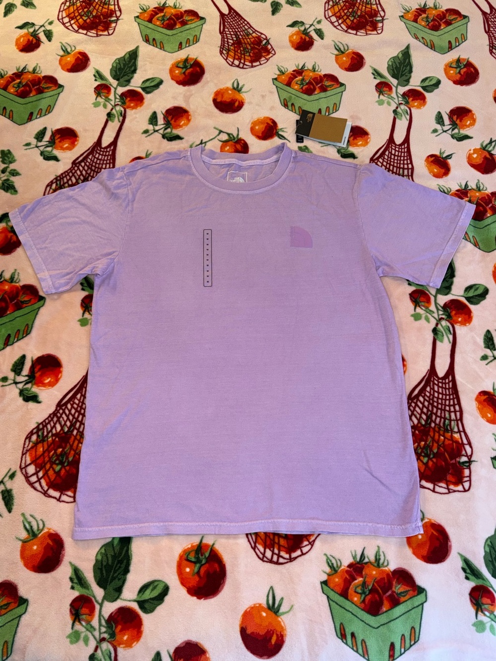 The North Face Men's Short Sleeve Logo Garment Dye Tee Lupine Purple Medium NEW